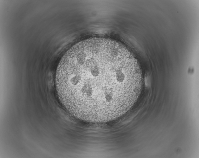 X0000091511347200709141347