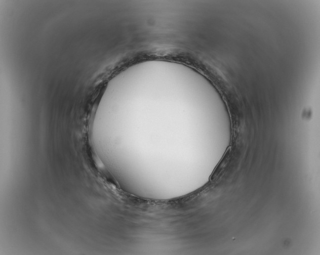 X0000091511349200709141347