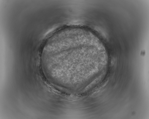 X0000091511350200709141347