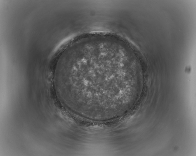 X0000091511351200709141347