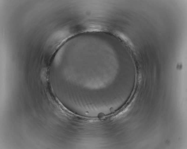 X0000091511353200709141347