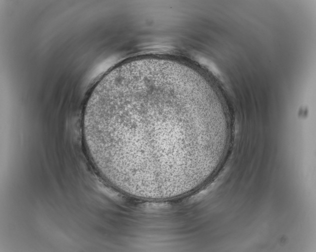 X0000091511354200709141347