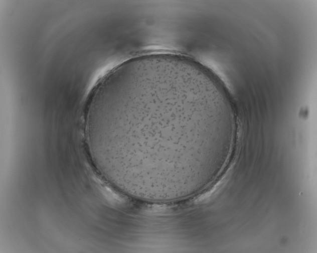 X0000091511357200709141347