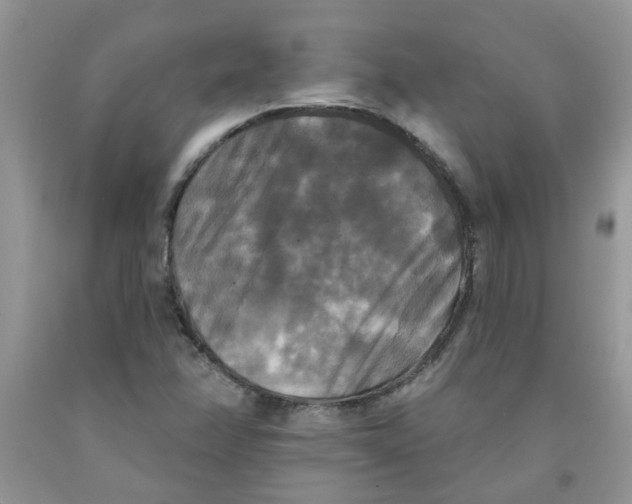 X0000091511358200709141347