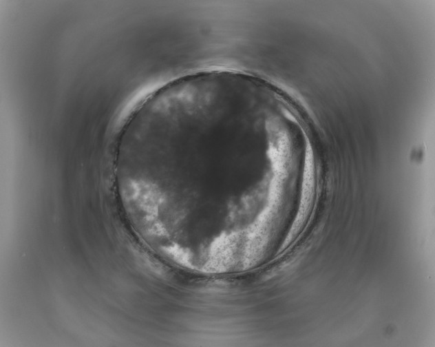 X0000091511359200709141347