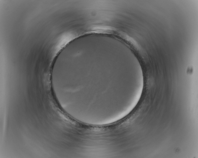 X0000091511362200709141346