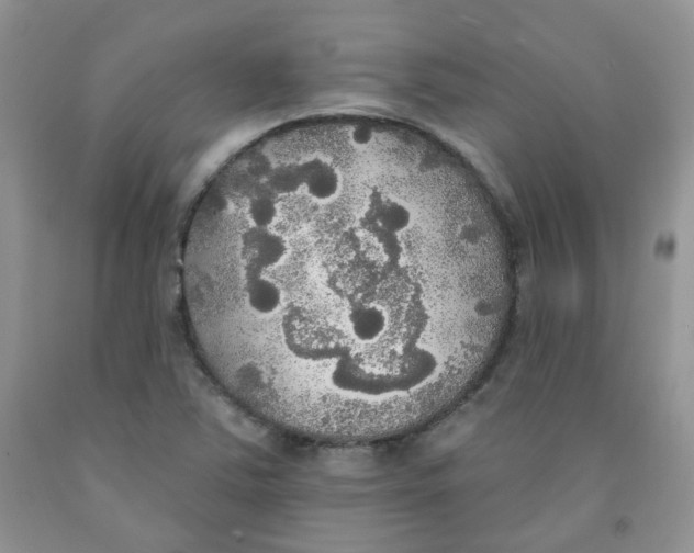 X0000091511363200709141346