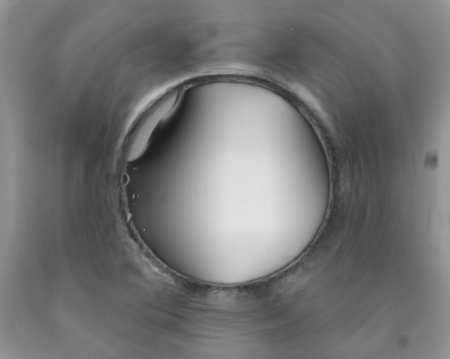 X0000091511364200709141346