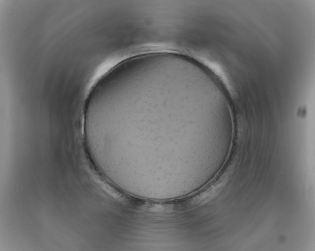 X0000091511365200709141346