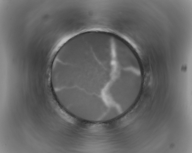 X0000091511367200709141346