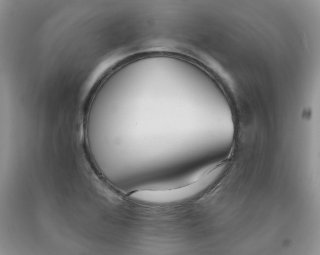 X0000091511368200709141346