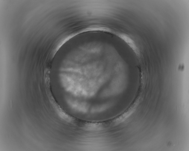 X0000091511369200709141346