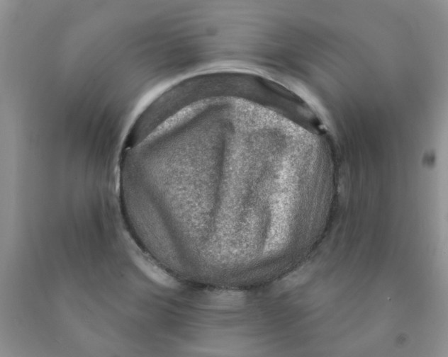 X0000091511372200709141346