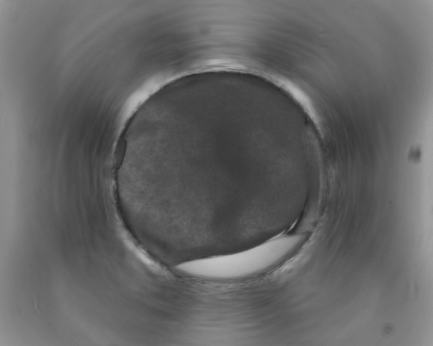 X0000091511373200709141346