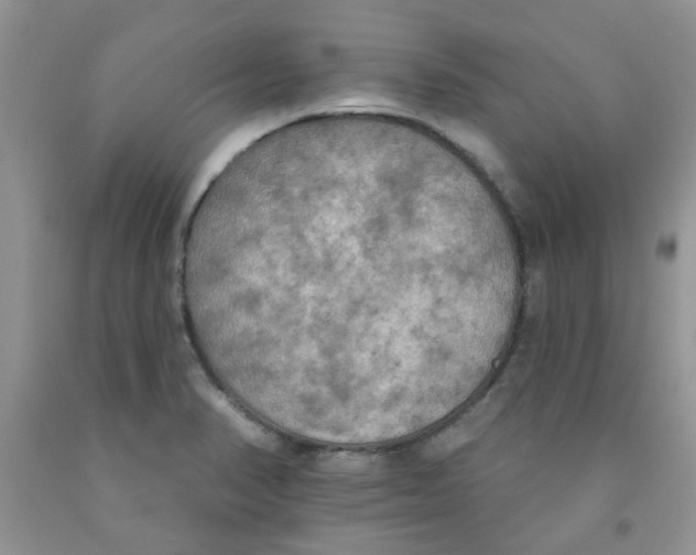 X0000091511374200709141346