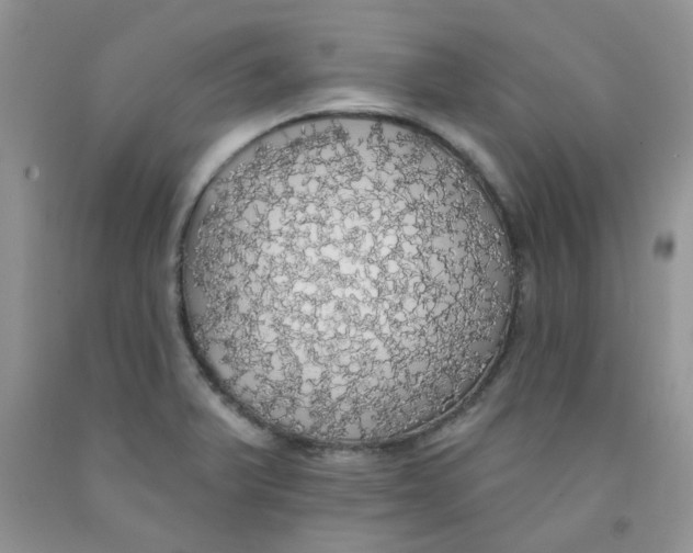 X0000091511375200709141346