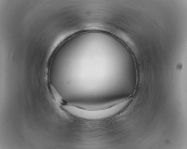 X0000091511376200709141346