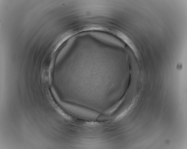 X0000091511377200709141346