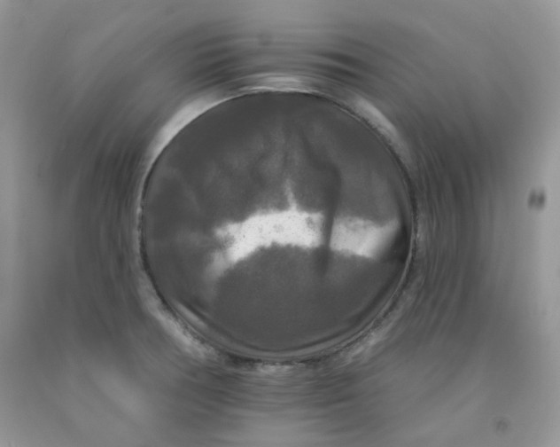 X0000091511378200709141346