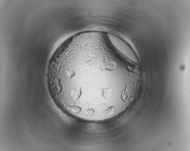 X0000091511379200709141346