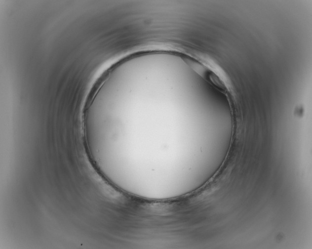 X0000091511380200709141346