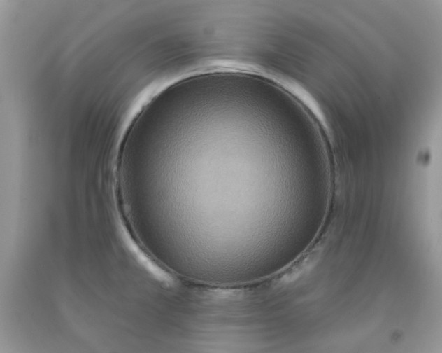 X0000091511381200709141346