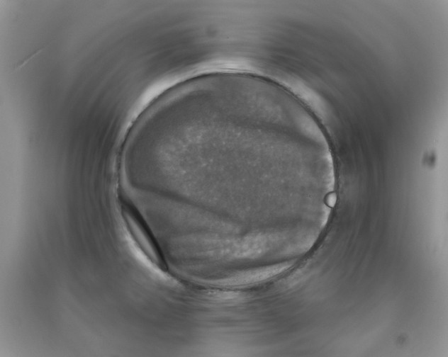 X0000091511382200709141346