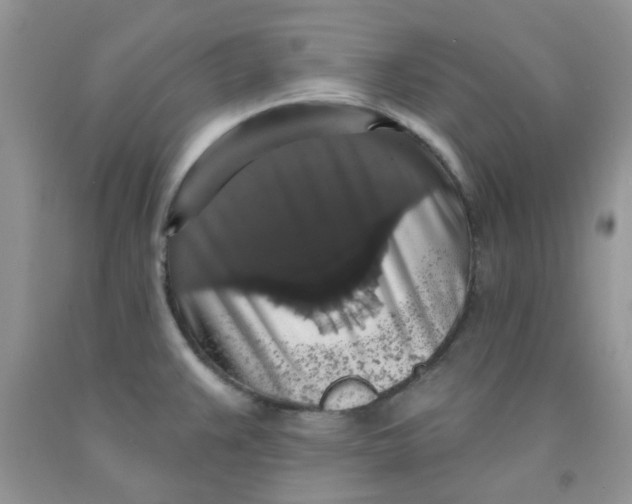 X0000091511383200709141346