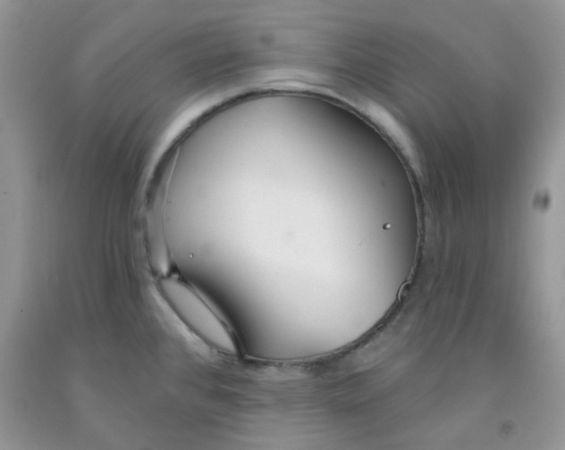 X0000091511384200709141346