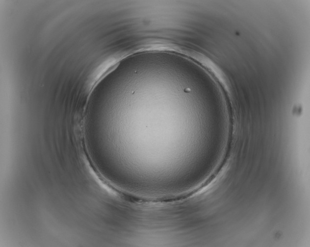 X0000091511385200709141346