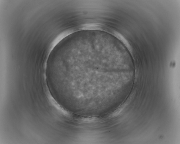 X0000091511386200709141346