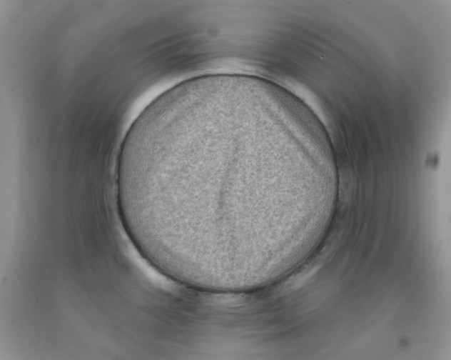 X0000091511387200709141346