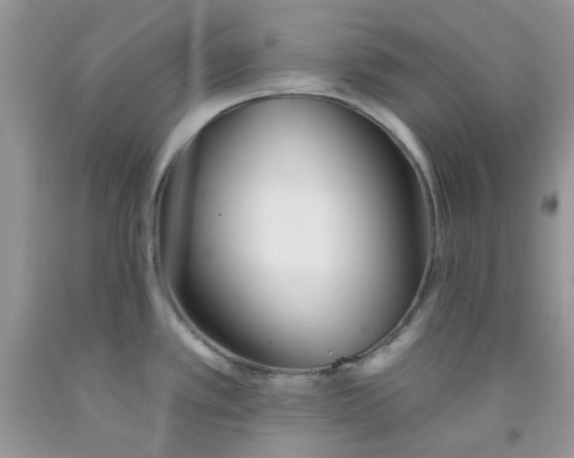 X0000091511389200709141346