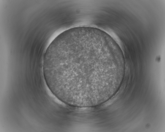 X0000091511390200709141346