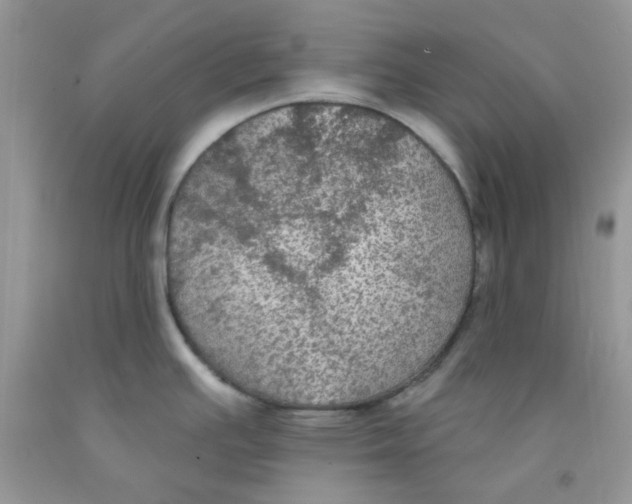 X0000091511391200709141346