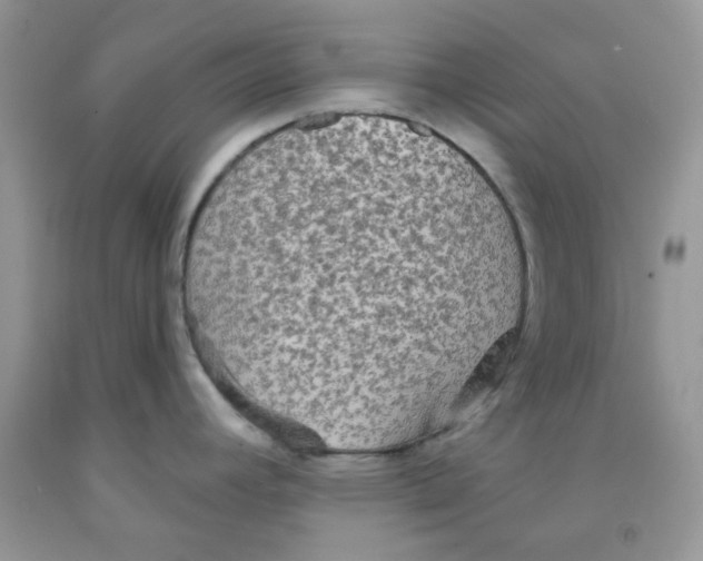 X0000091511392200709141346