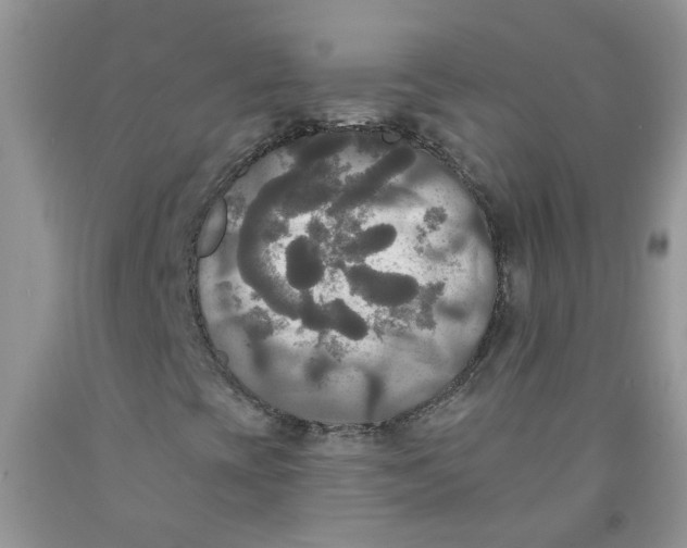 X0000091511393200709141345