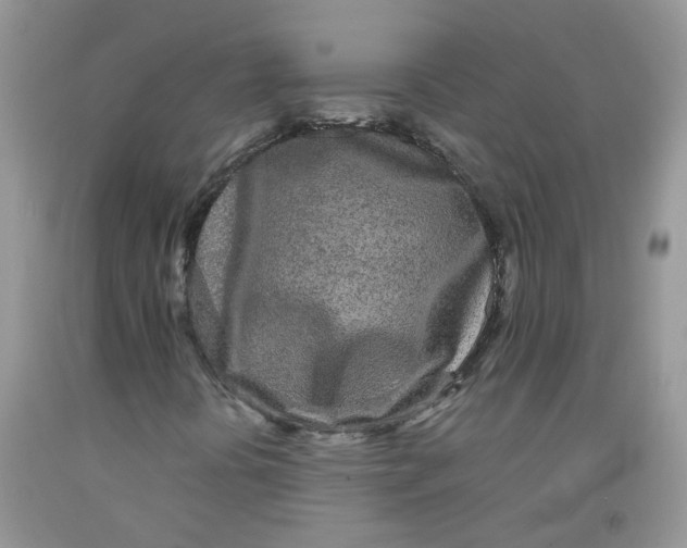 X0000091511394200709141345