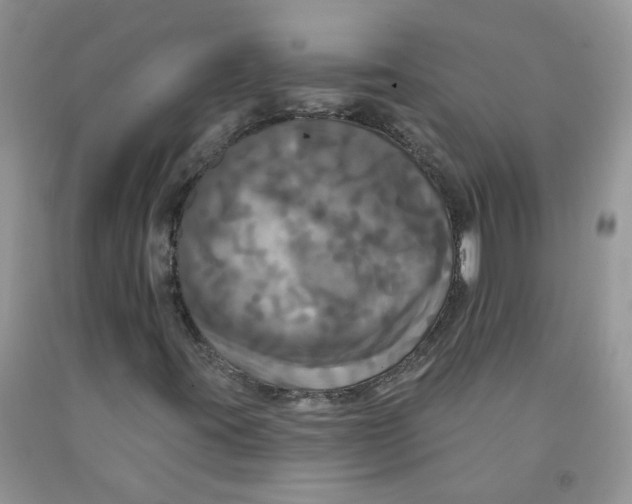 X0000091511395200709141345