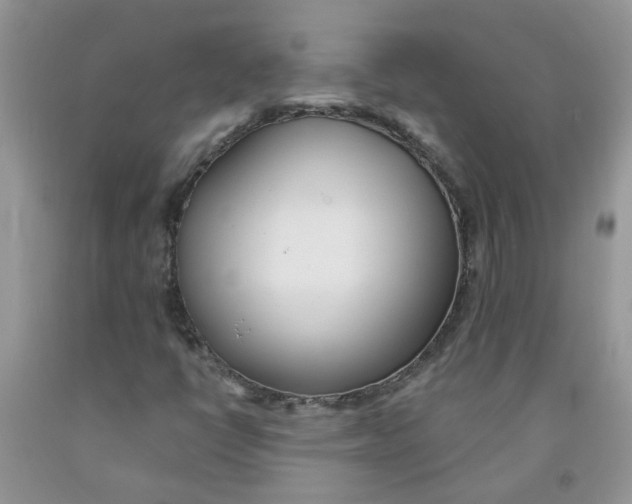 X0000091511398200709141345