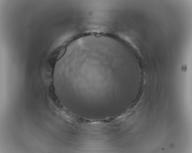 X0000091511399200709141345