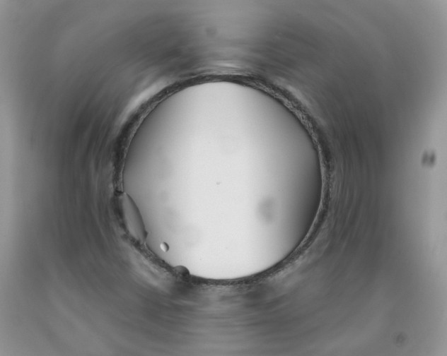 X0000091511402200709141345