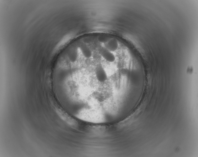 X0000091511403200709141345