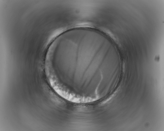 X0000091511405200709141345