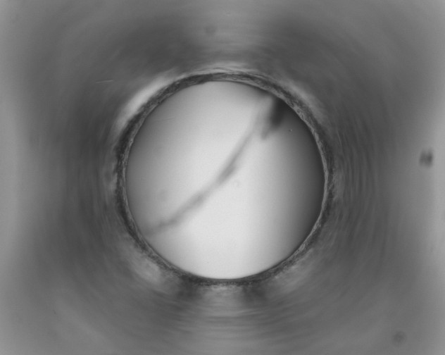 X0000091511406200709141345