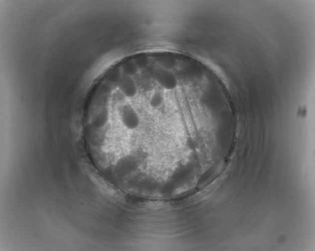 X0000091511407200709141345