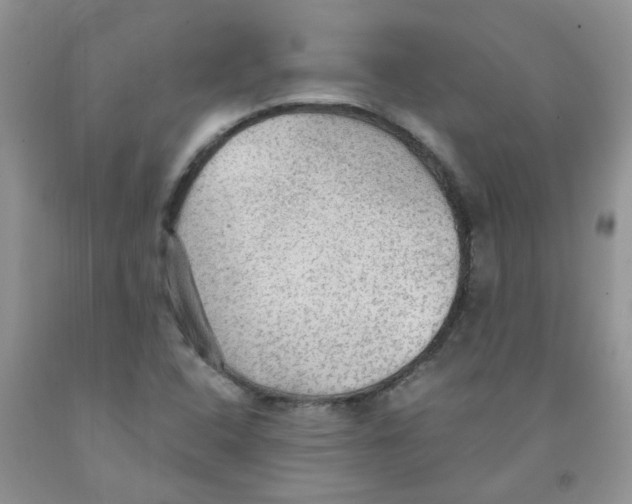 X0000091511408200709141346