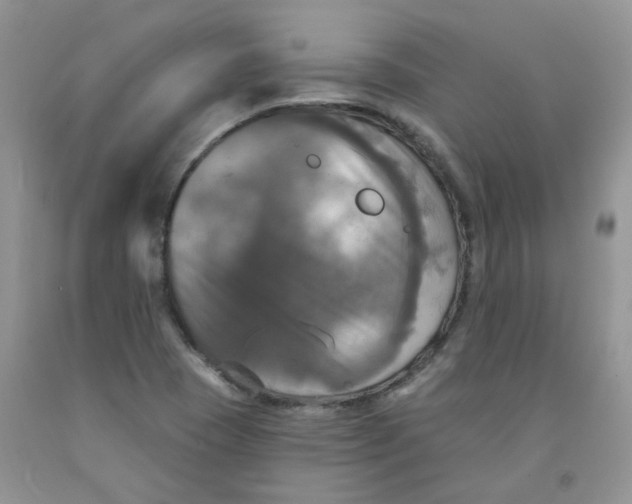 X0000091511409200709141346