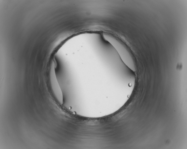 X0000091511410200709141346