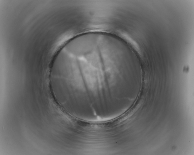 X0000091511411200709141346